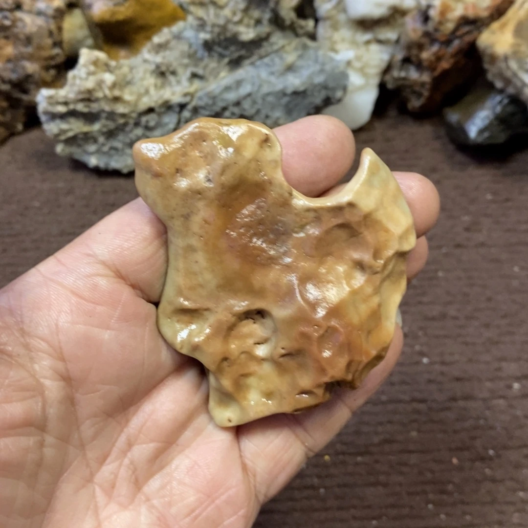 三醋酯纤维OK测听12
