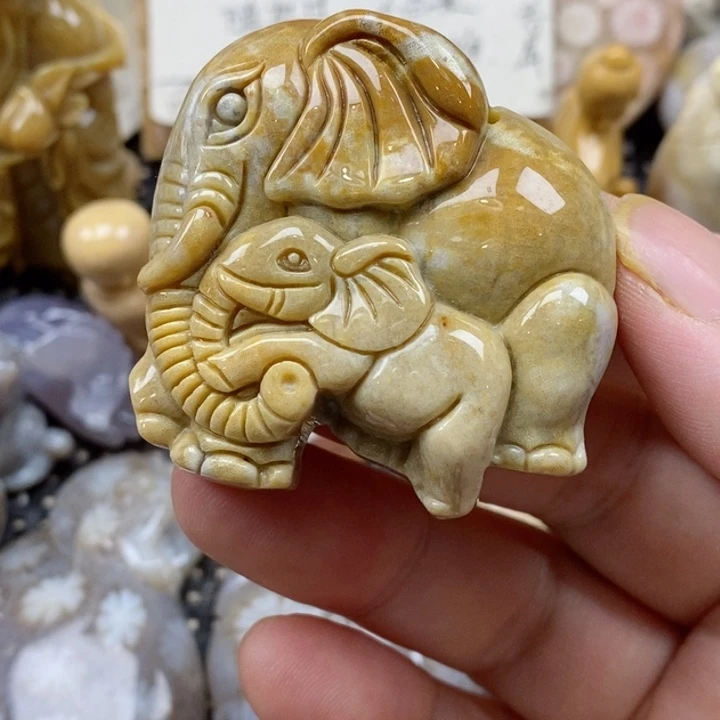 颈饰未镶嵌硅化珊瑚（珊瑚玉）