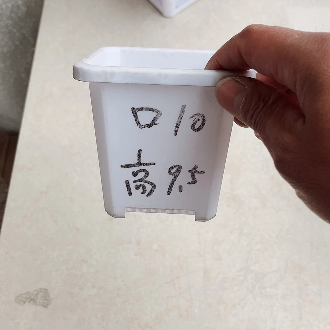 塑料用****0升级款景天10方白色盆50个无托
