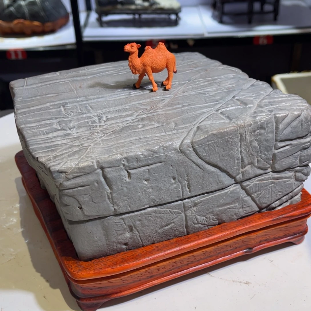 崖***哥石材全场观众在看书