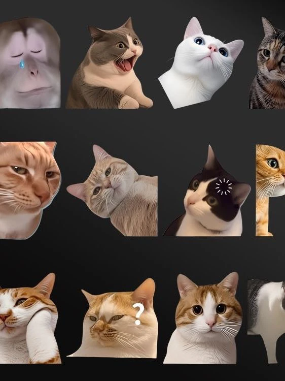 汽车贴纸可爱搞笑迷因MEME猫猫咪惊讶表情车贴笔记本行李箱装饰贴