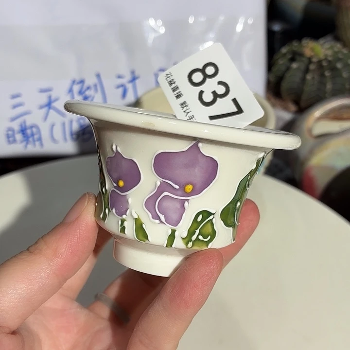 花盆花盆，八五折后价