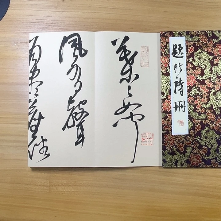 书法中书协老师作品