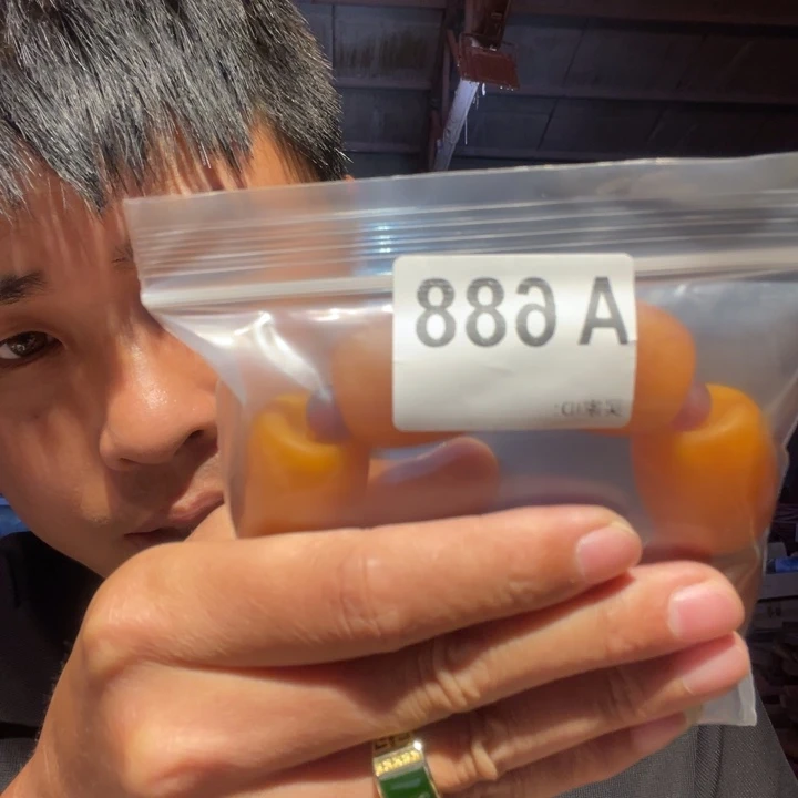 大叶紫檀（黑酸枝木类）东*688