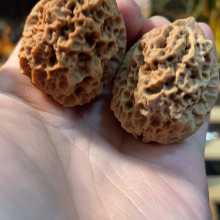 把件文玩核桃编号52