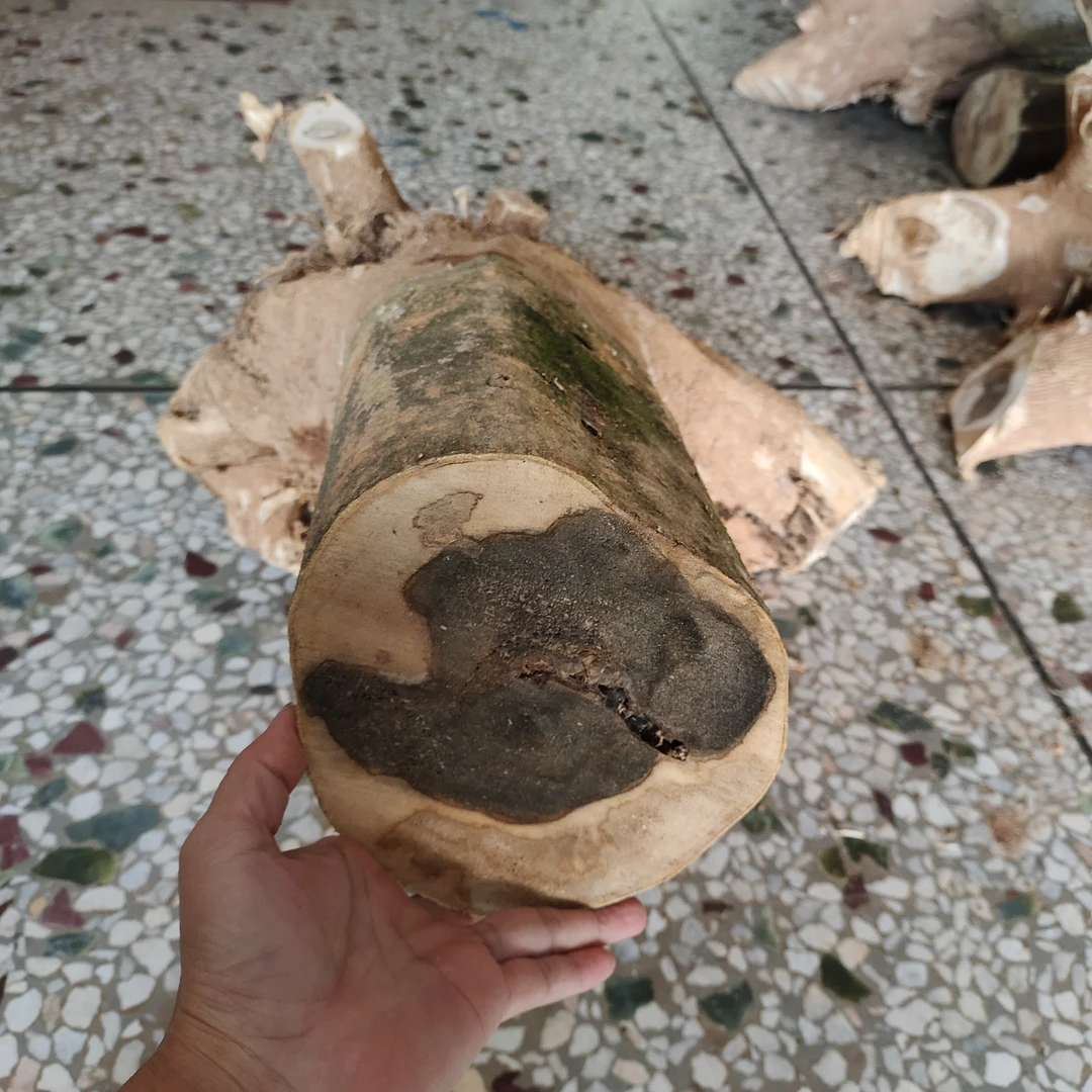 7沉香原木摆件定制多样性发1