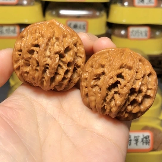 特价福利：九龙筋