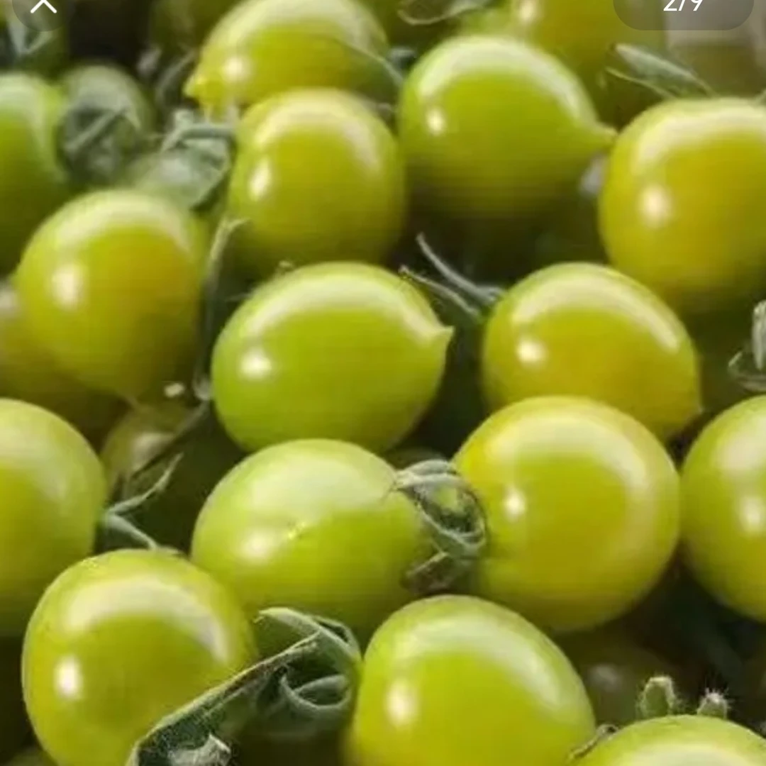 【达龙农场】山东青甜小西红柿小番茄口感代餐代餐神器新鲜生吃