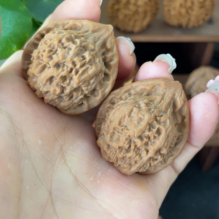 木秦岭核桃的品种