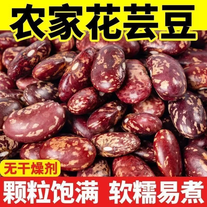 【助农】紫花芸豆新鲜豆子适合大碴粥豆馅饭豆颗粒饱满软糯易煮
