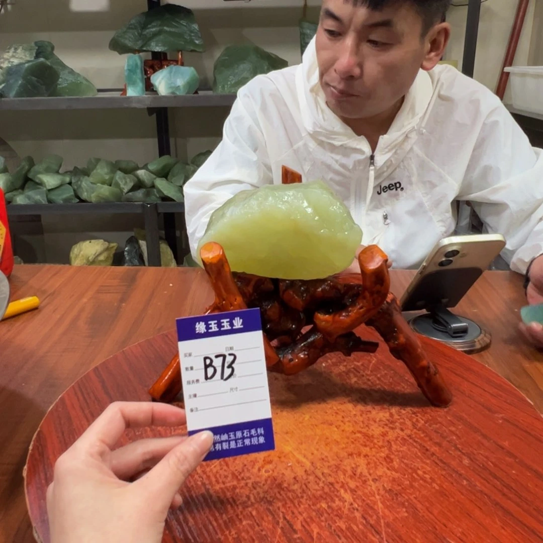 蛇纹石玉未镶嵌原石B73