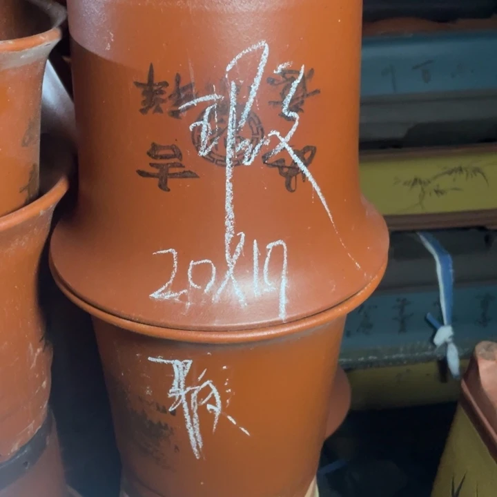 周深周深周深周深