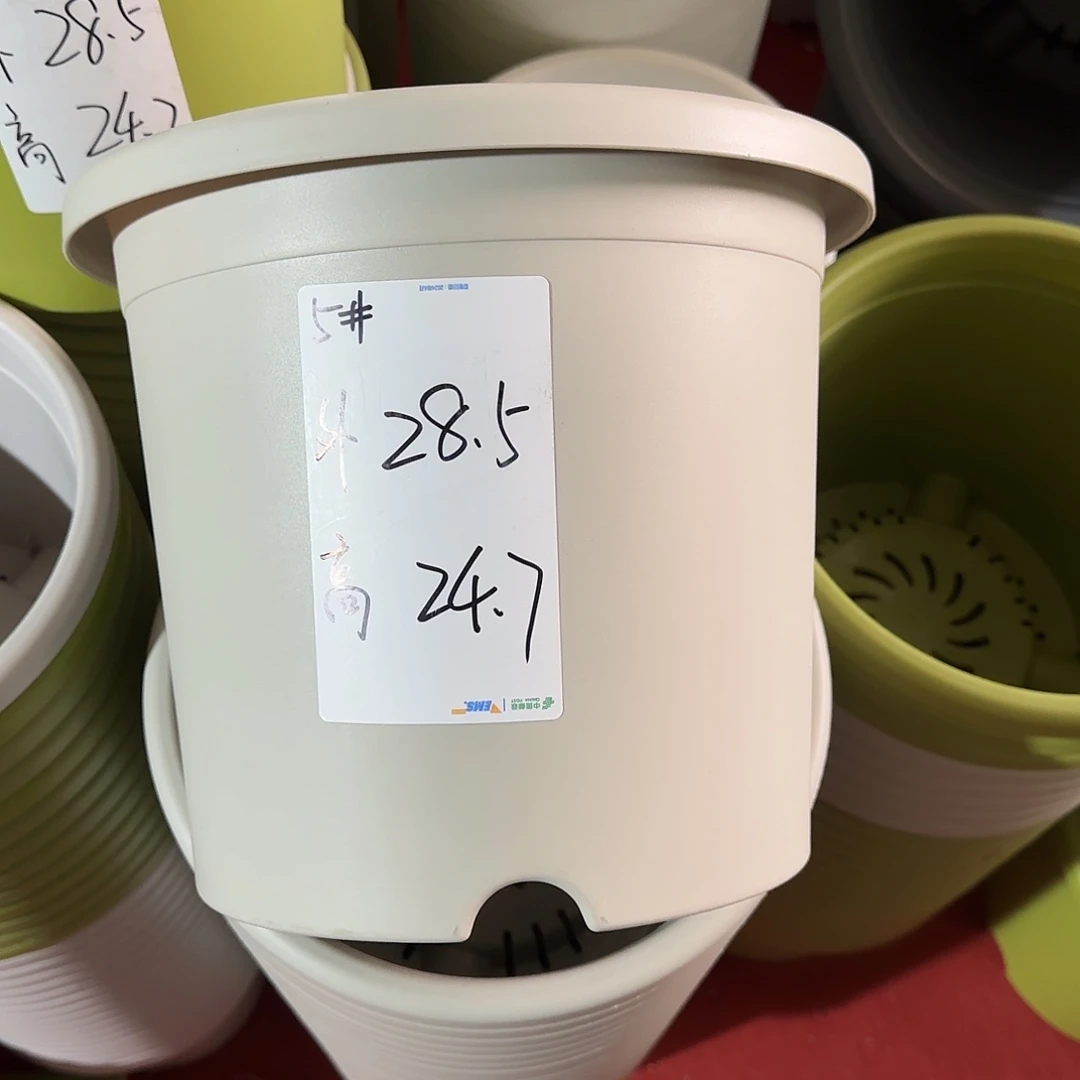 树脂微瑕5号6个带托，