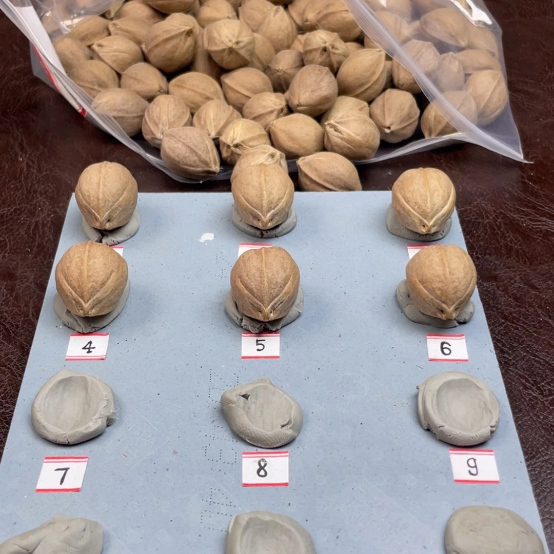 手串/手链橄榄核西**通21.27梅林铁核