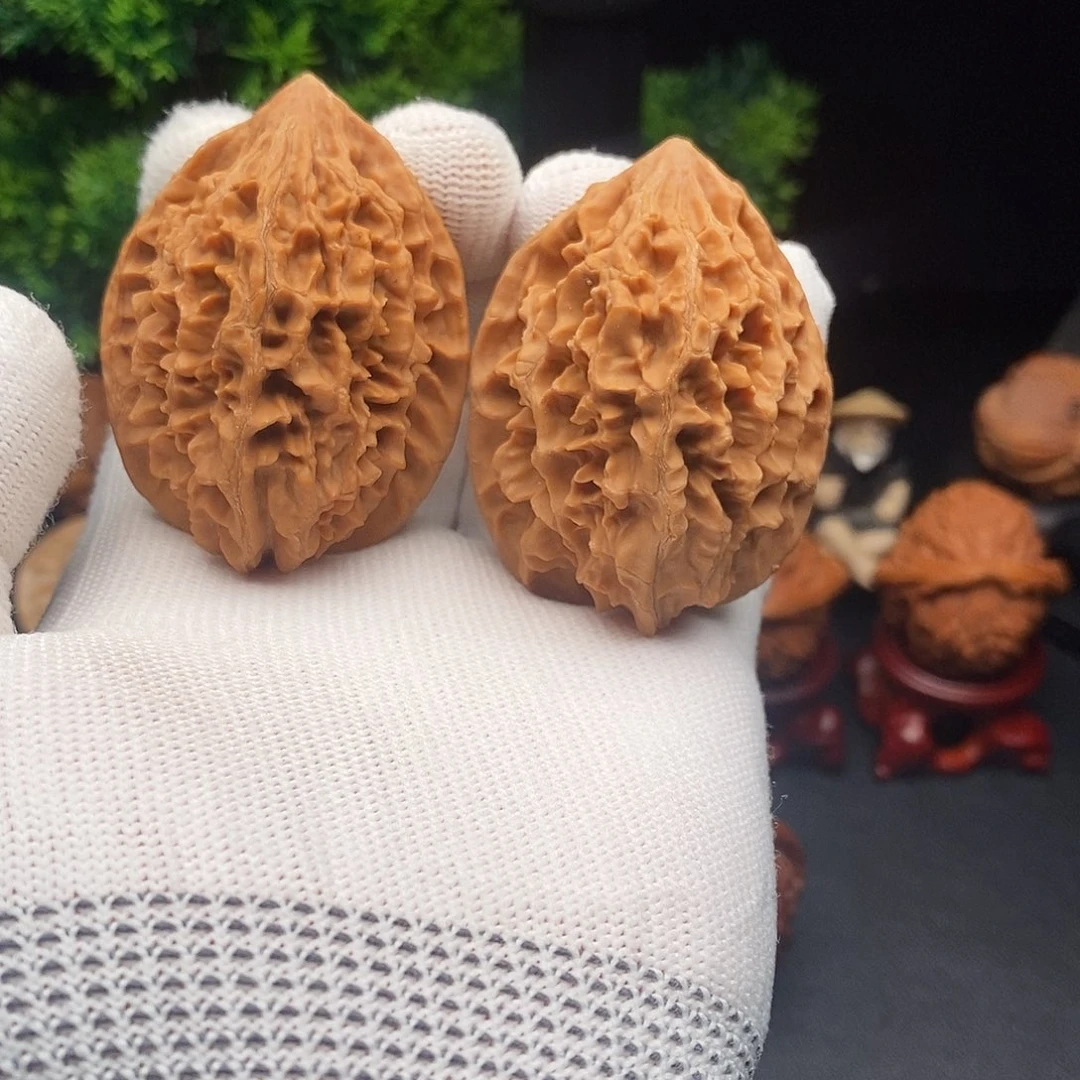 41尺寸全品无修招财鼠