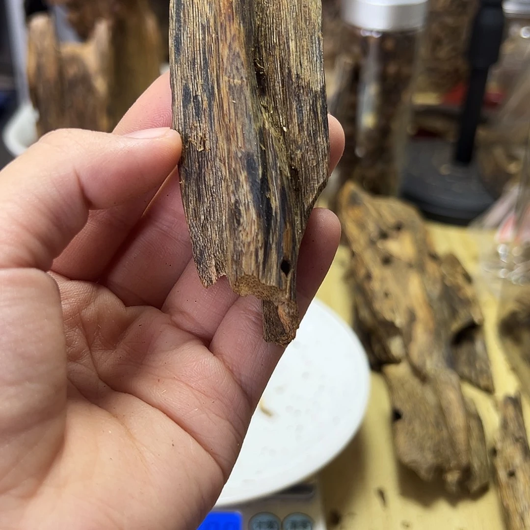 木绿奇楠虫漏14克