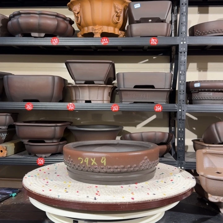 紫砂花盆呜呜呜我的小可爱