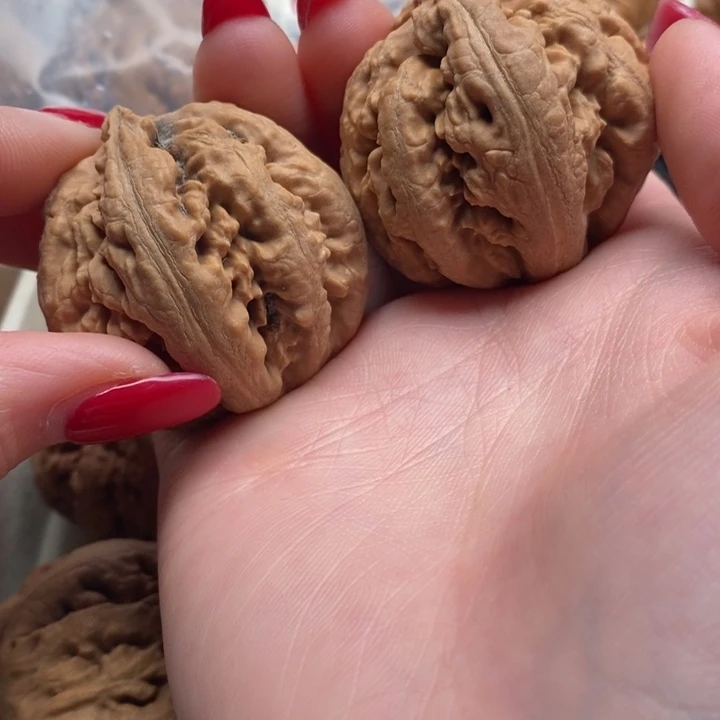 ***^把件文玩核桃霸王龙