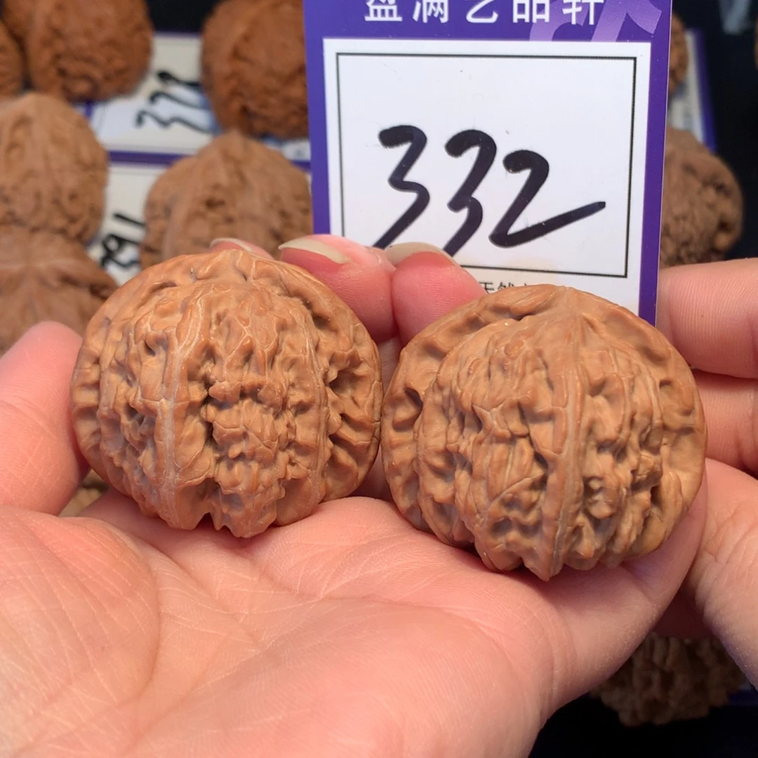 核桃332白狮子4.2全品