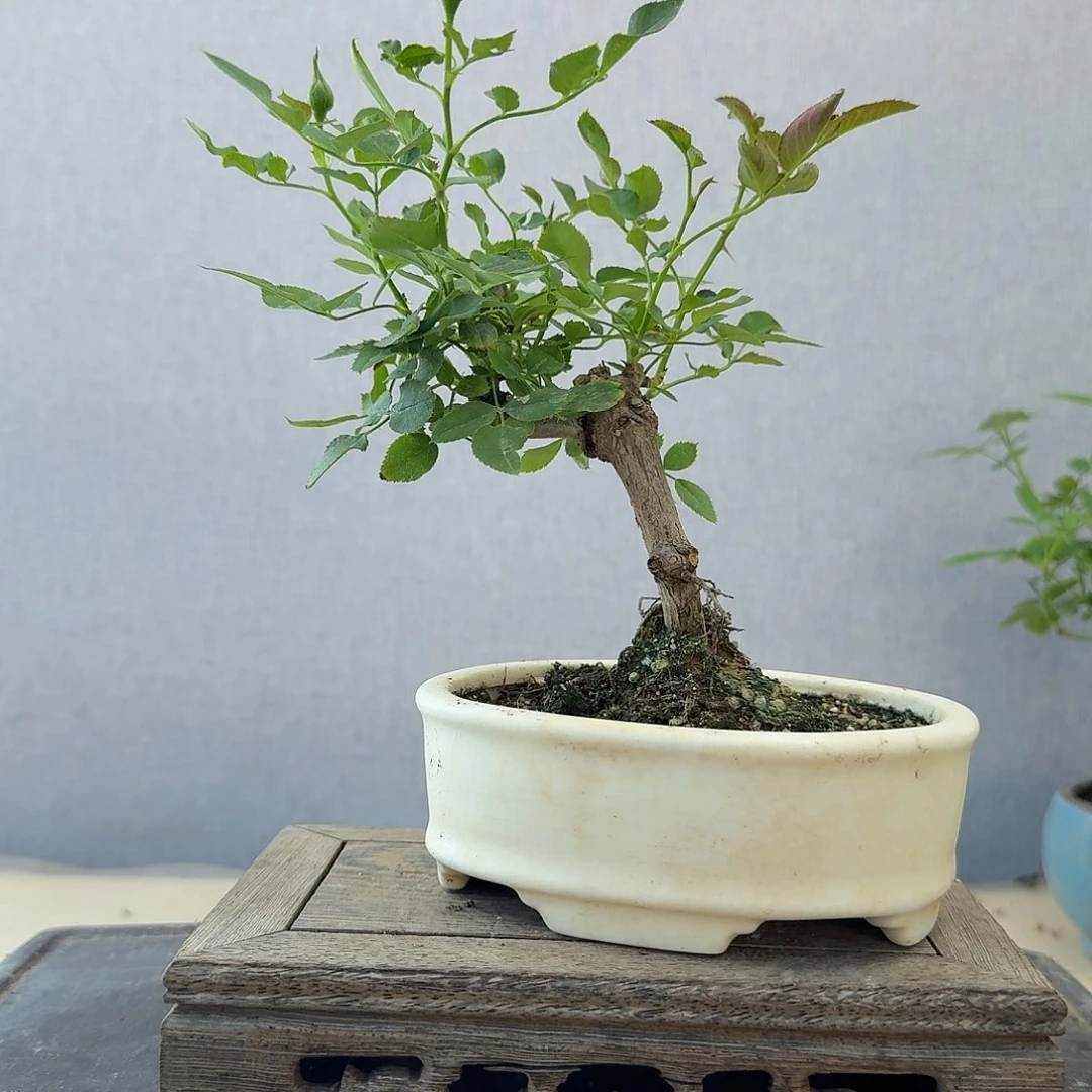 完全开放88888888888888