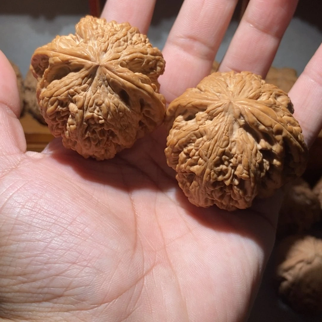 文玩核桃吊坠毕业粗筋48