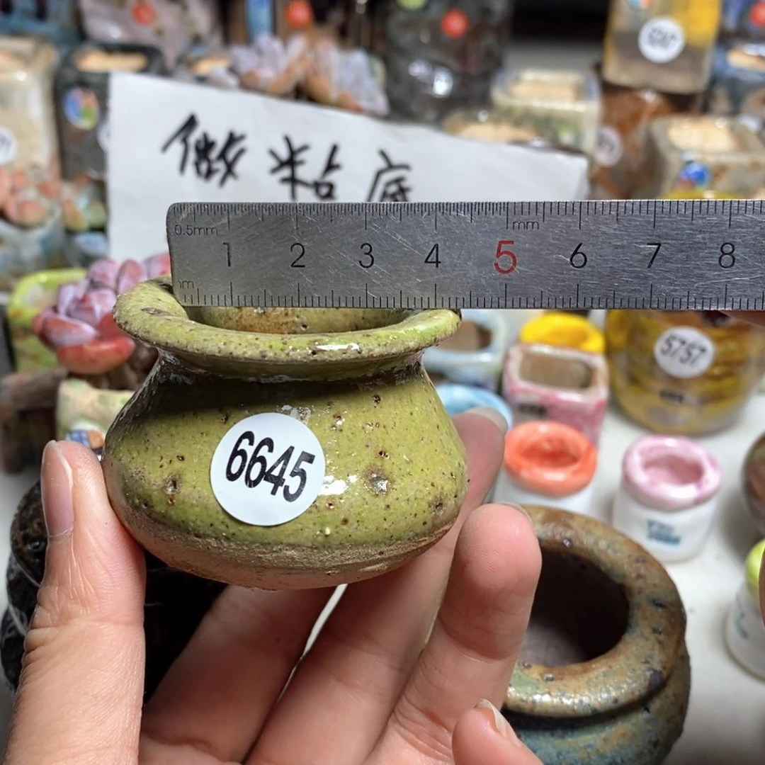 拍5送一个小礼物