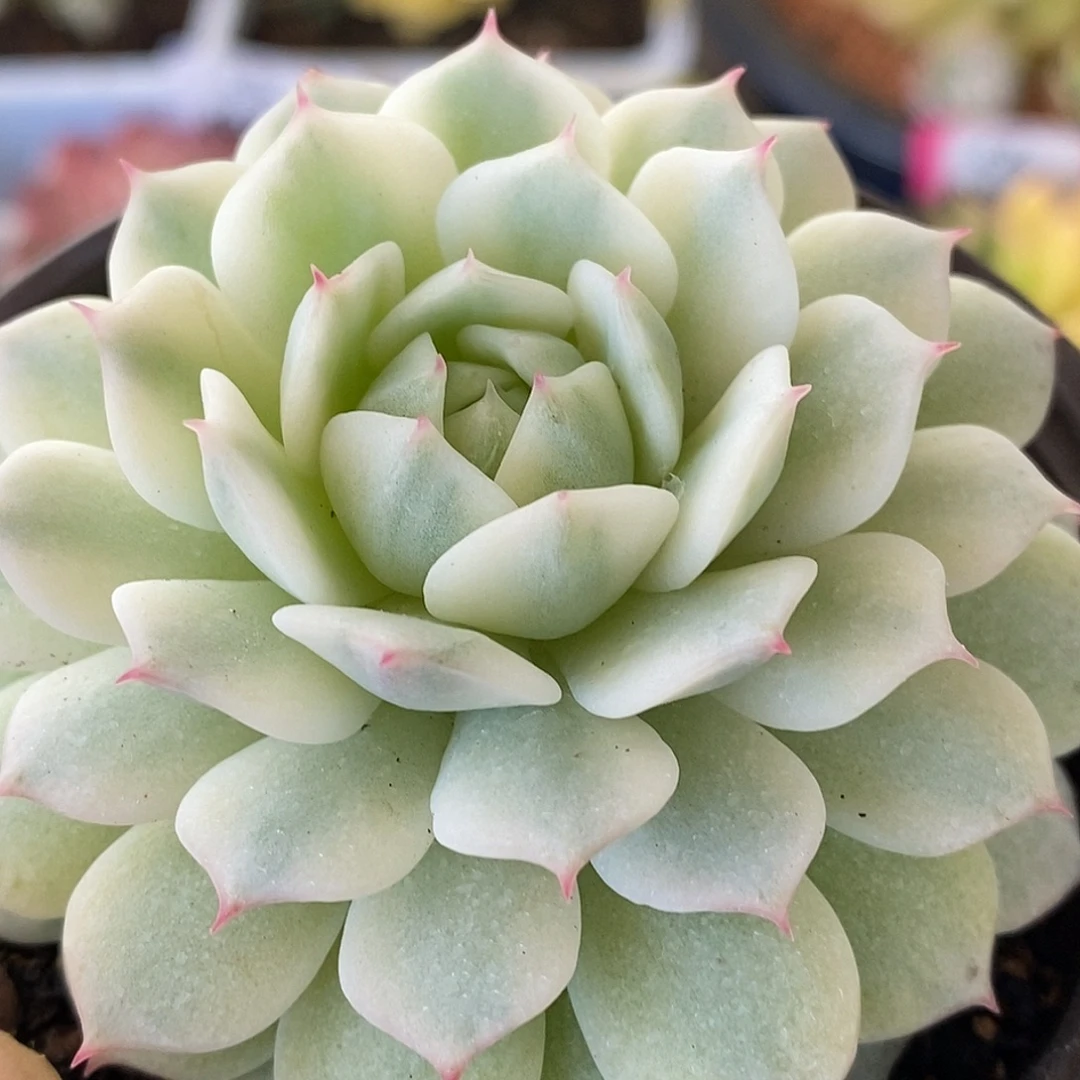 717静夜哈哈哈哈哈哈