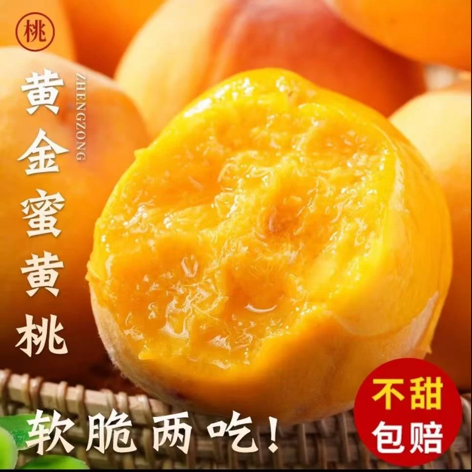 【鲜头茬】甜黄桃新鲜桃子软糯脆甜当季桃应季水果桃子整箱