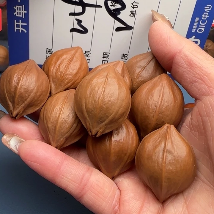 达***巴橄榄核手串橄榄核