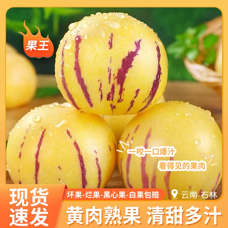 云南石林人参果礼盒装果王树上熟黄肉圆果多汁产地直发现摘水果