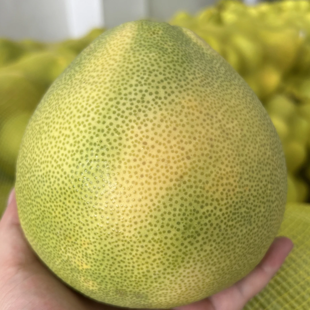 柚子（单果1斤以上袋装）福建度尾文旦柚新鲜水果脆甜当季现摘包邮