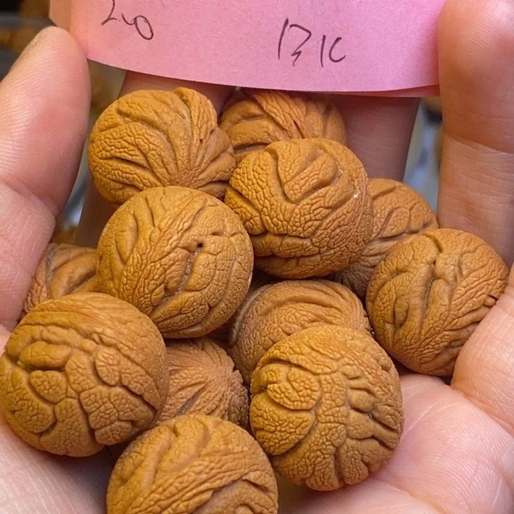 吊坠桃核秦岭龙纹桃核20尺寸