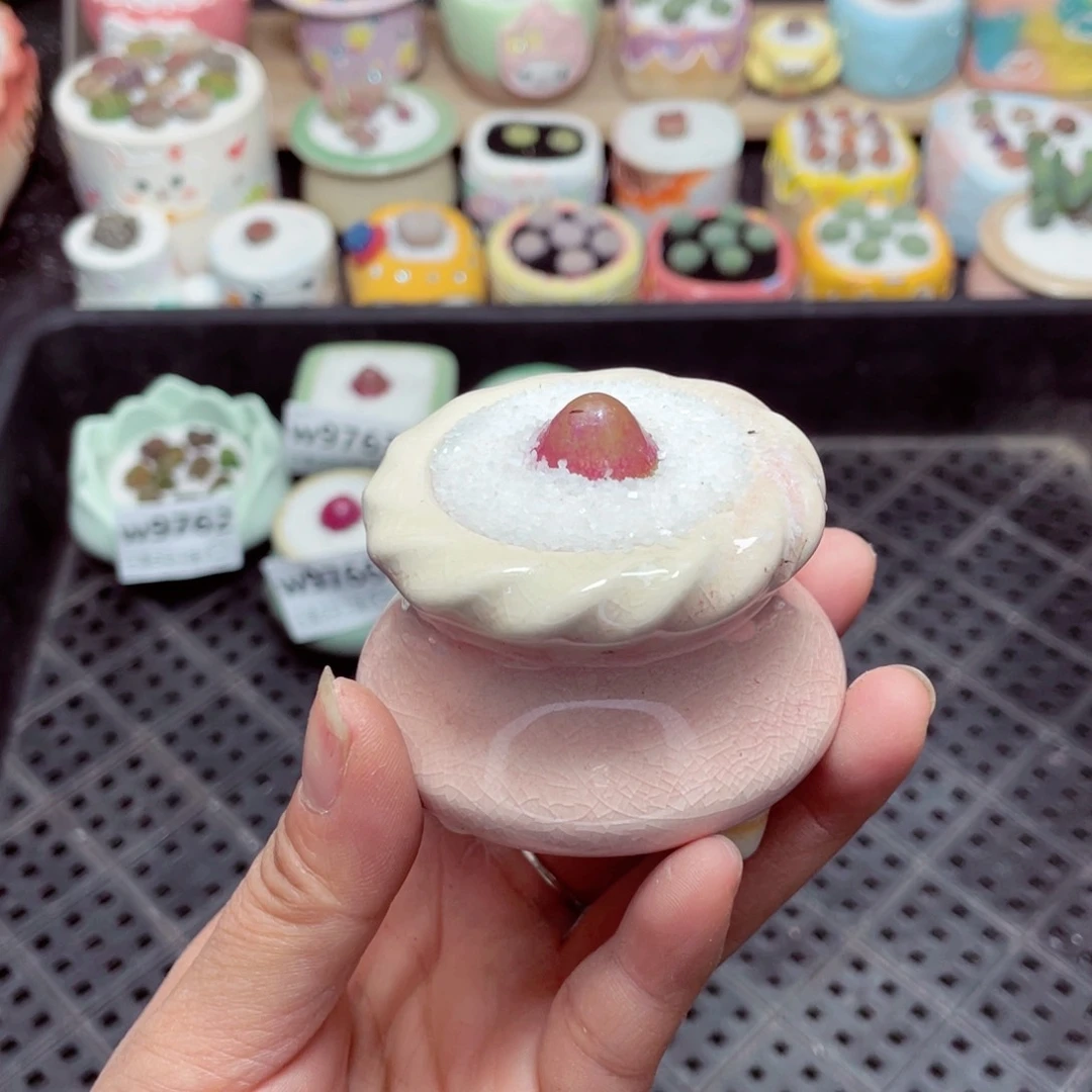 w9768 -零下地区拍保温箱-15支持寄养