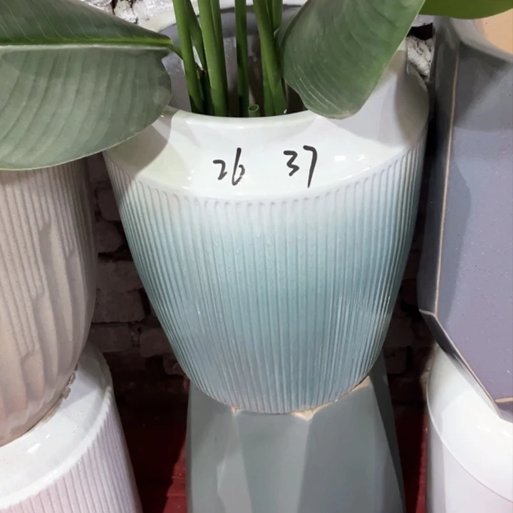 口径26高度37捡漏款