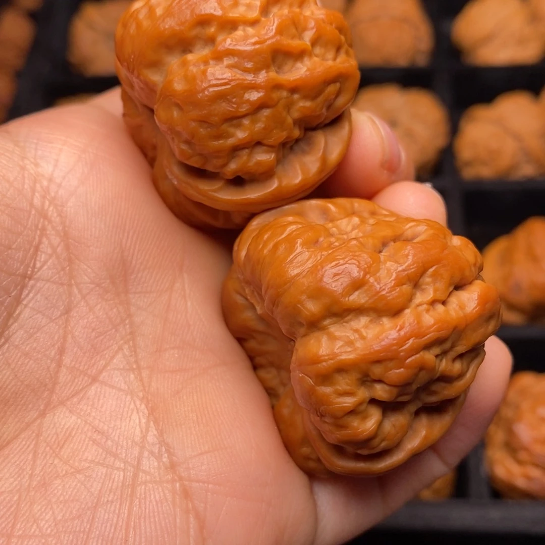 文玩核桃把件秦岭野生核桃