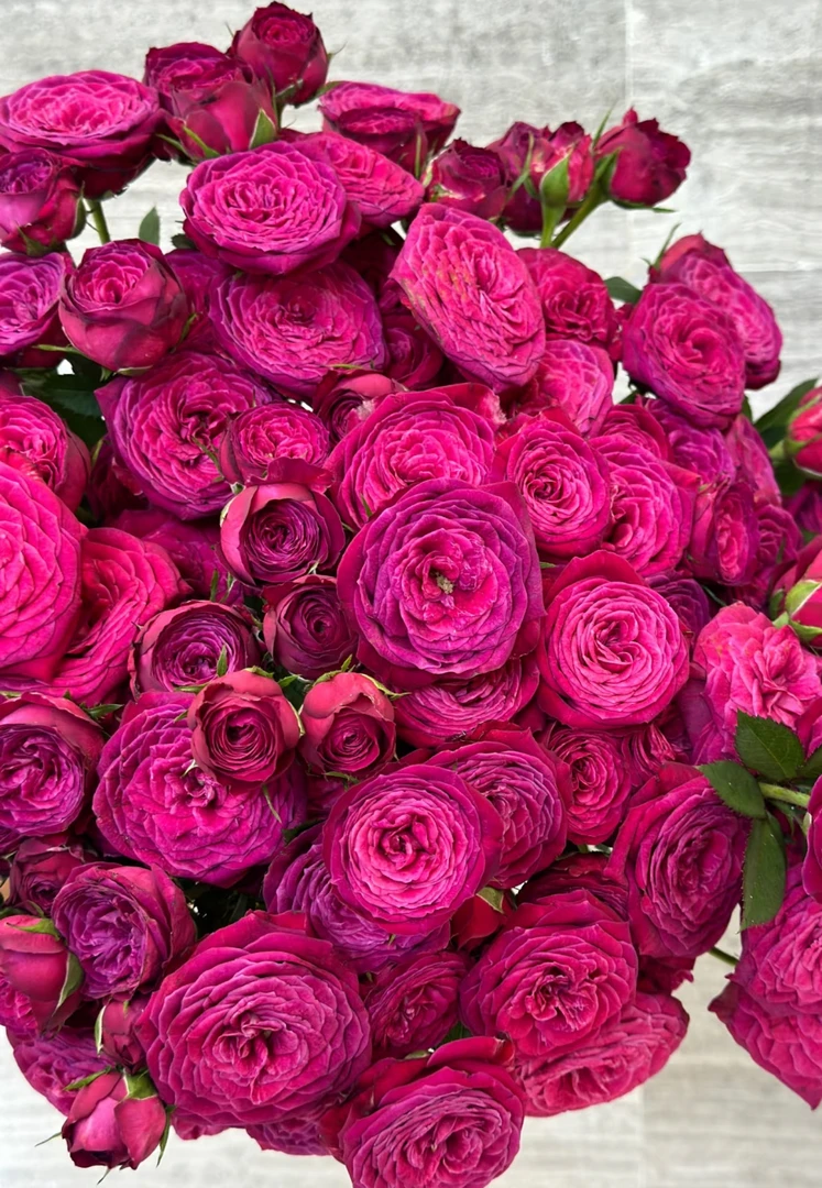 加购福利丨不能凑单丨需已拍两单花花【空气香水10支】（不售后）