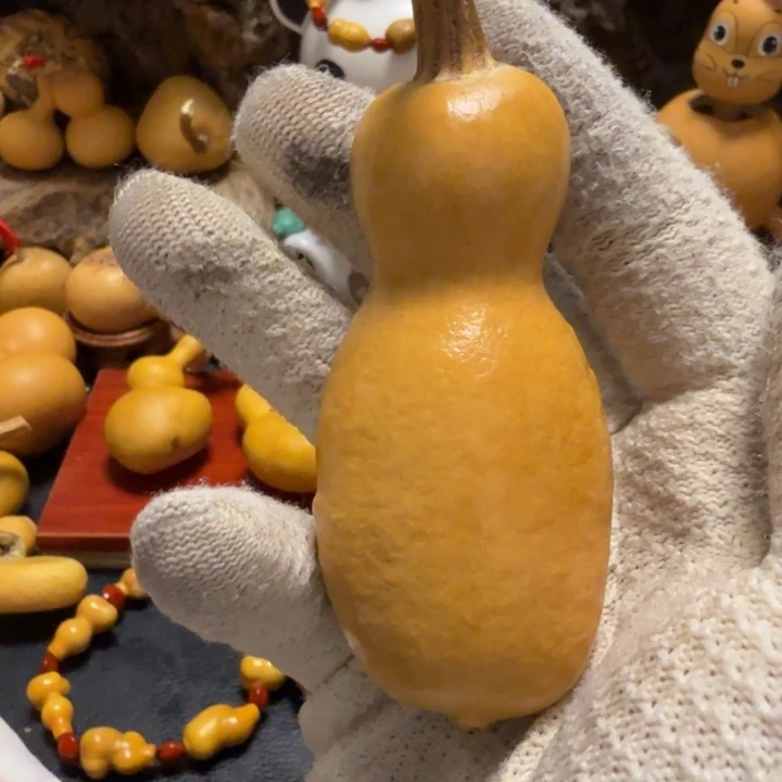 璞***緣6…………………………………………