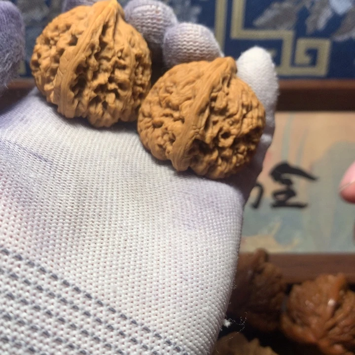 豹***豆哈哈哈哈哈哈哈哈哈哈