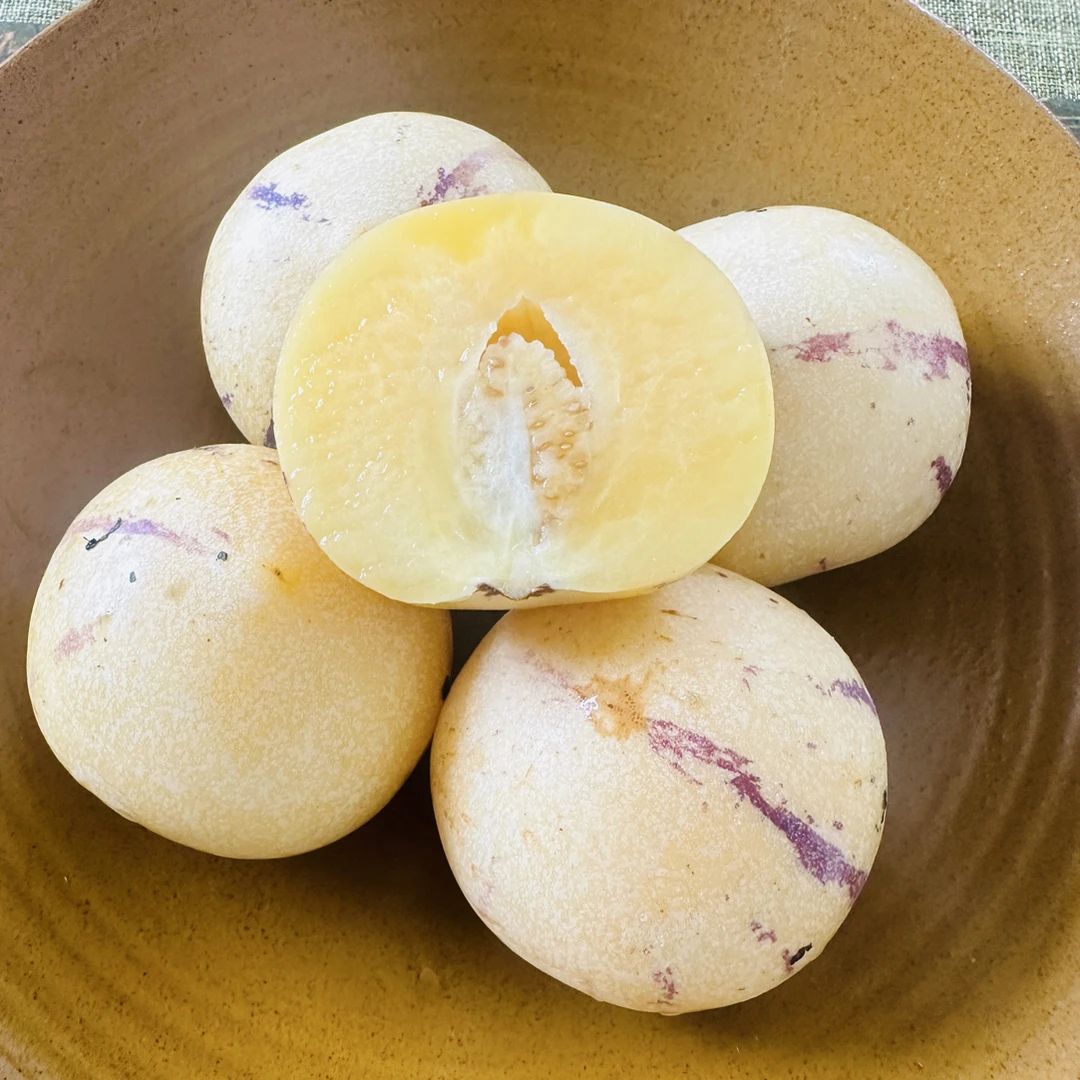 云南石林新鲜人参果（3斤）大果脆甜多汁云南省