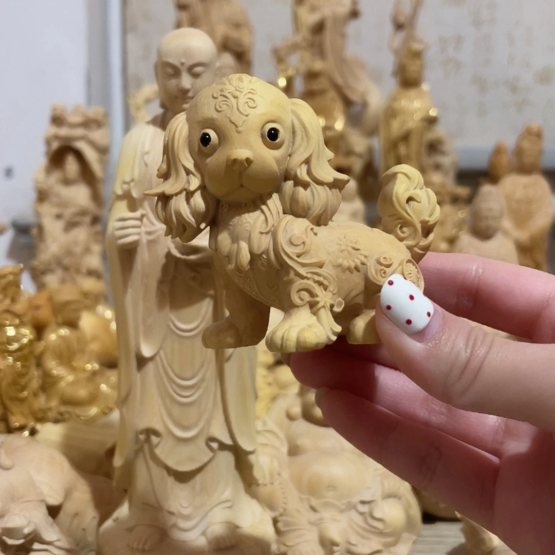 黄杨木小叶黄杨木金毛树结