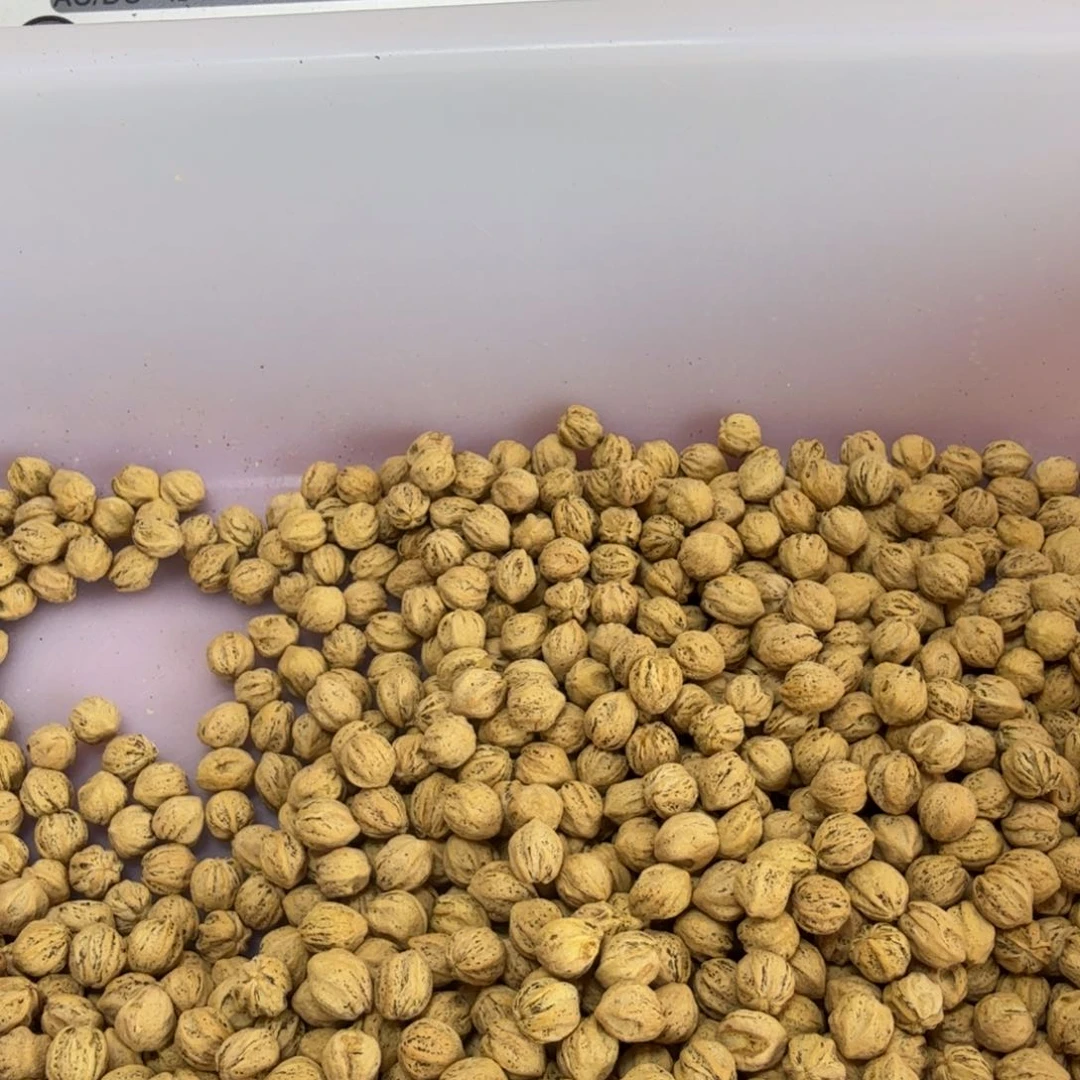 柏香籽/百香籽吊坠齐****l