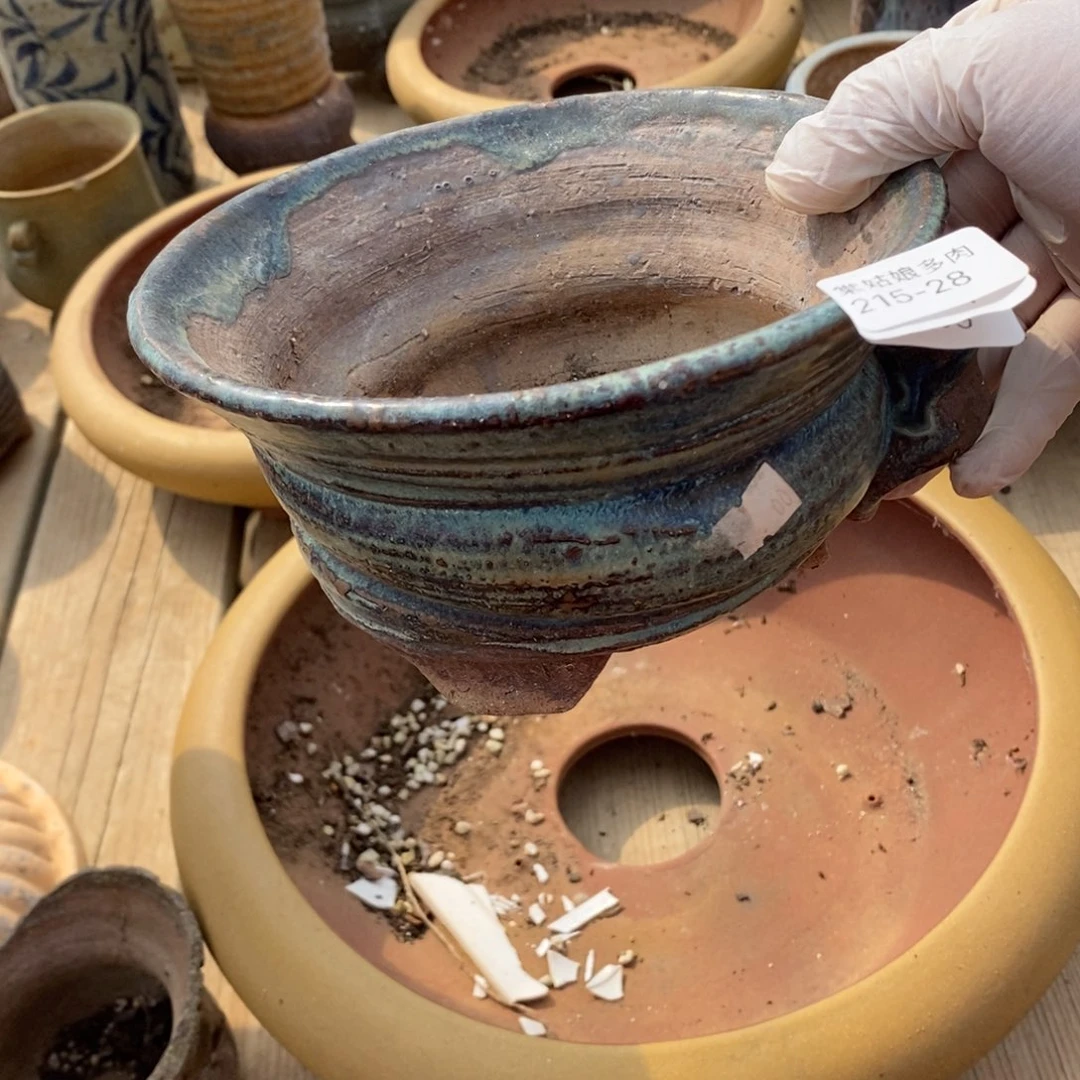 红陶小*28号多肉盆一个呀