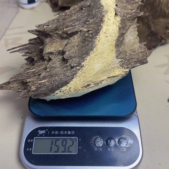 黄***沉香碎屑沉香沉香料子159克