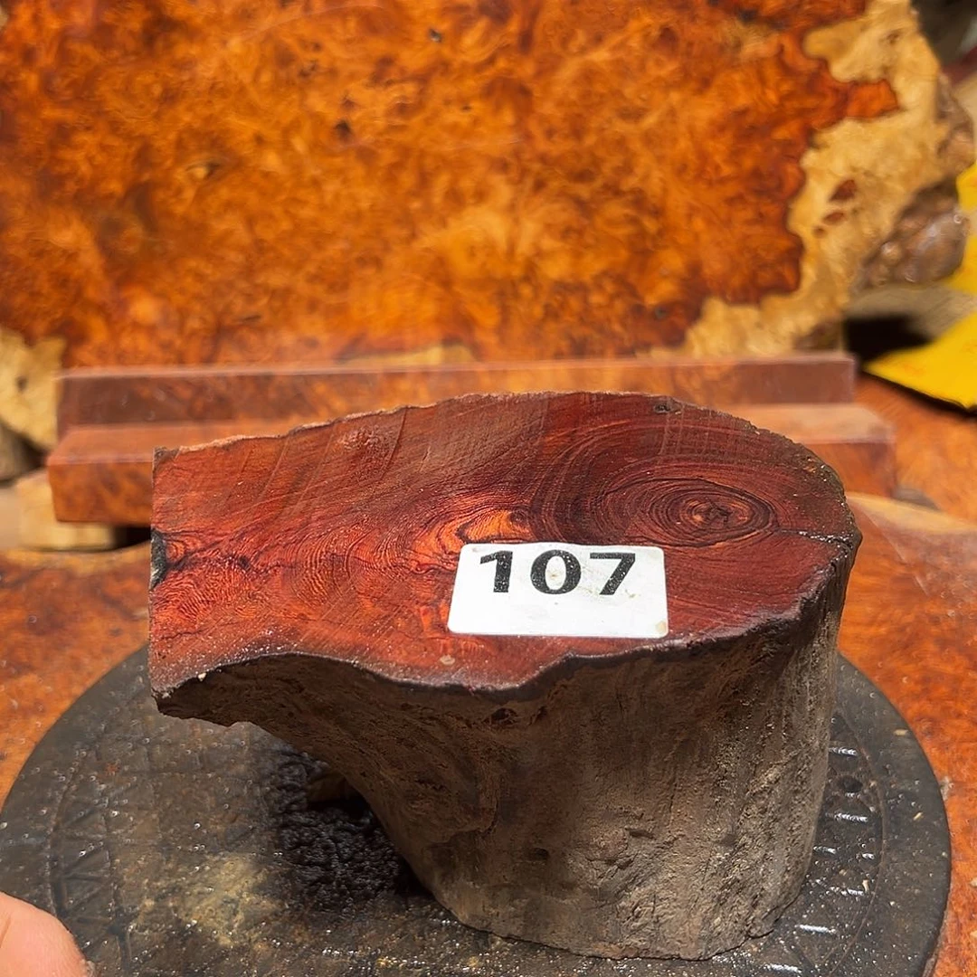 大果紫檀（缅甸花梨）