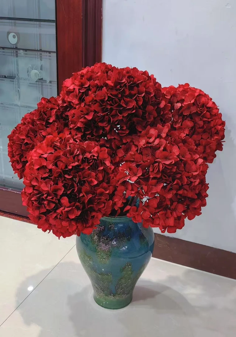 {3A永生绣球}绣球花花期长云南发货