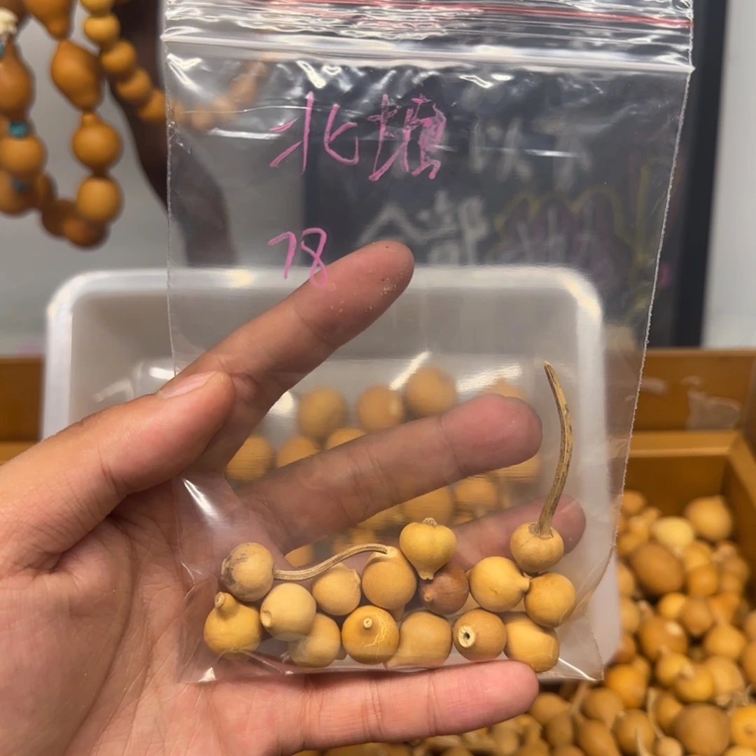 布北唐专用定向链接