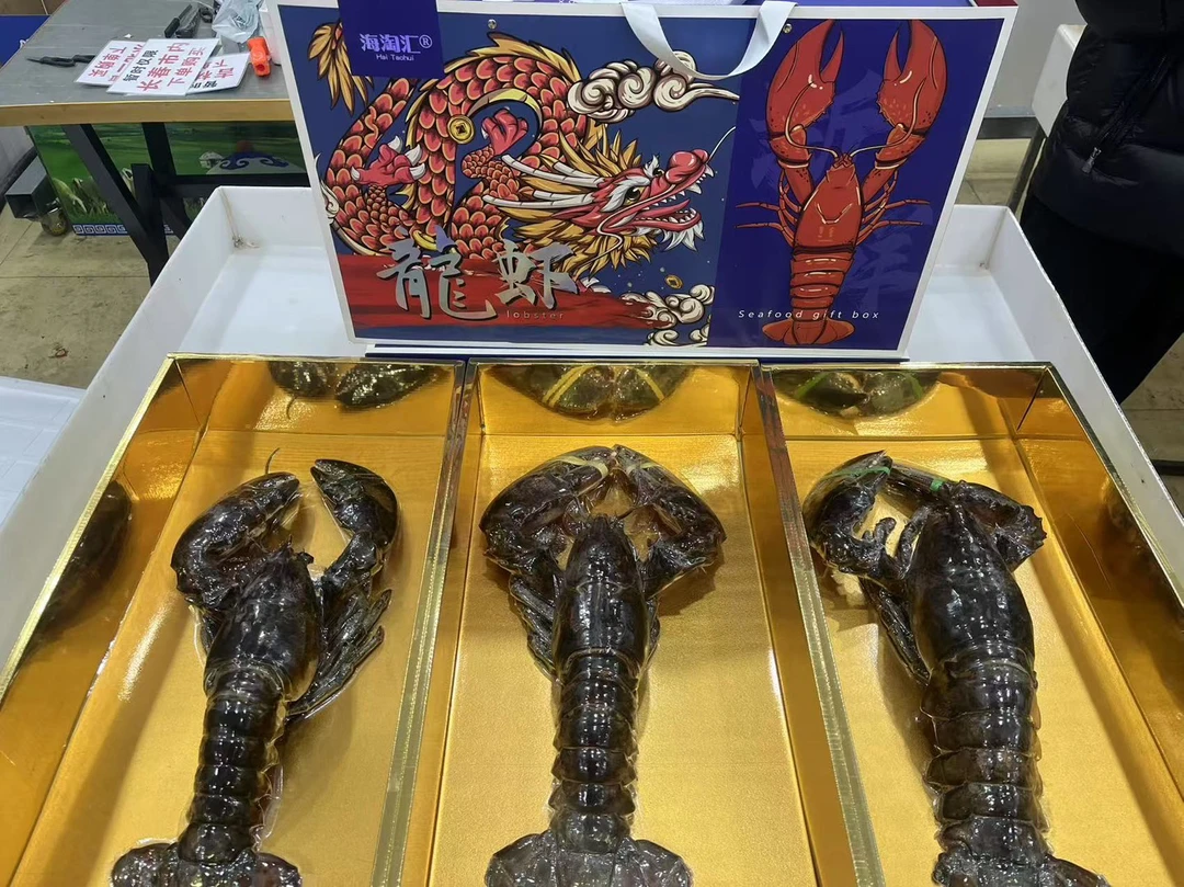【长春包邮27号停发】波士顿龙虾礼盒 1只