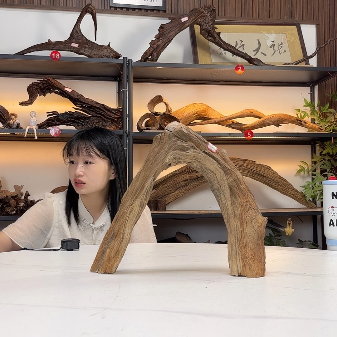 欧***噶长38高31。