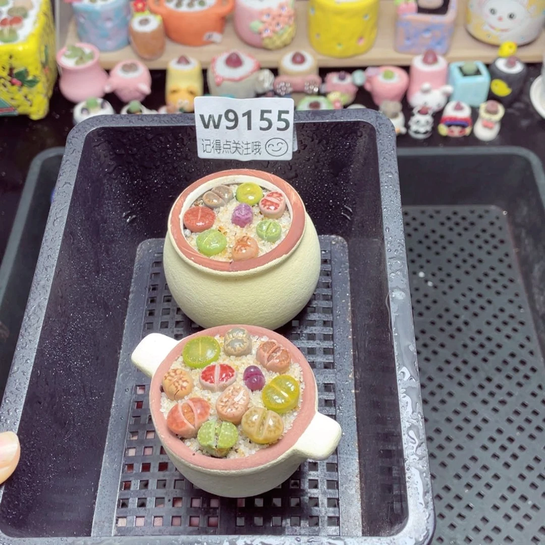 w9155锅锅系列 一份两盆量拍