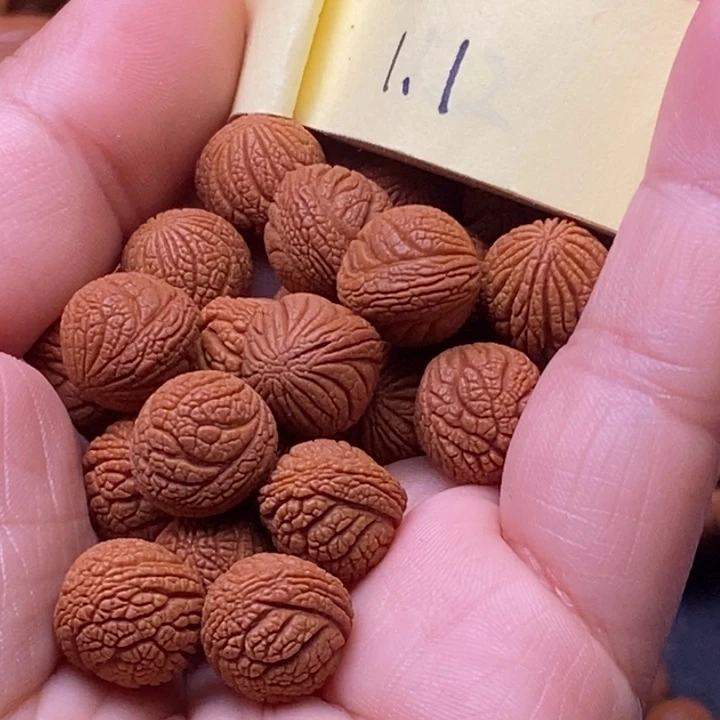 茫***谁秦岭龙纹桃核21颗